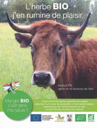 Eclosion d’un nouveau Printemps Bio