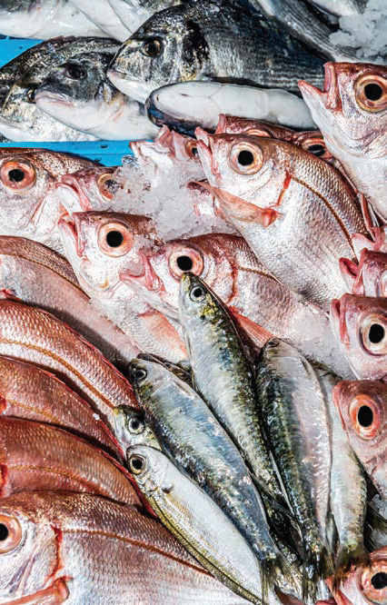 Les moyens de contrôle pour la qualité et la fraîcheur des poissons