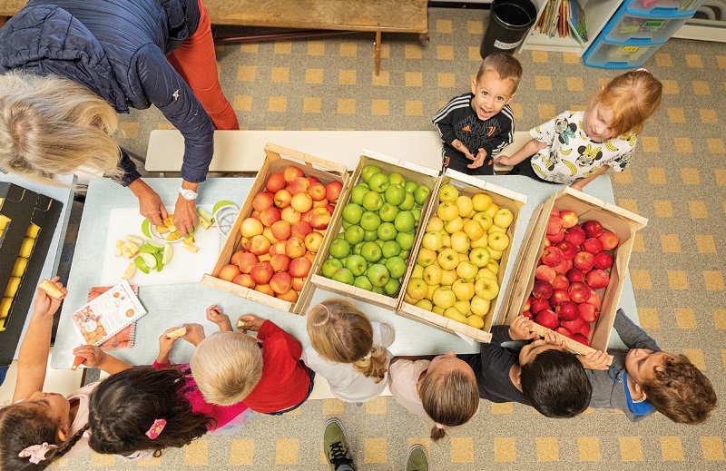 Initiative durable : Au cœur du PAT de la Métropole Aix-Marseille-Provence et du Pays d’Arles