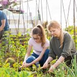 Nourrir l’avenir : des projets soutenus pour une meilleure transition alimentaire