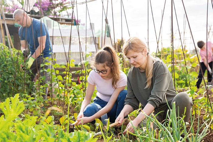 Nourrir l’avenir : des projets soutenus pour une meilleure transition alimentaire