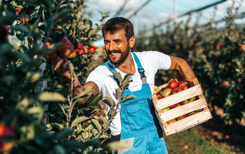 Outil durable : Un Plus Bio présente son Observatoire des Paysages alimentaires