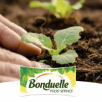 Bonduelle Food Service travaille sur des packs vertueux