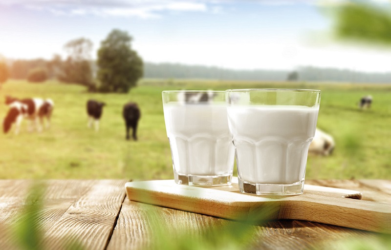 Une Journée mondiale pour (re)découvrir le lait sous toutes ses formes