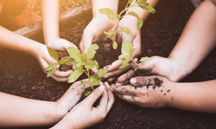 L’éducation alimentaire, levier essentiel pour se reconnecter au vivant